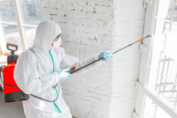 Best Comprehensive Air Testing for Mold Contaminants  in Kasson, MN