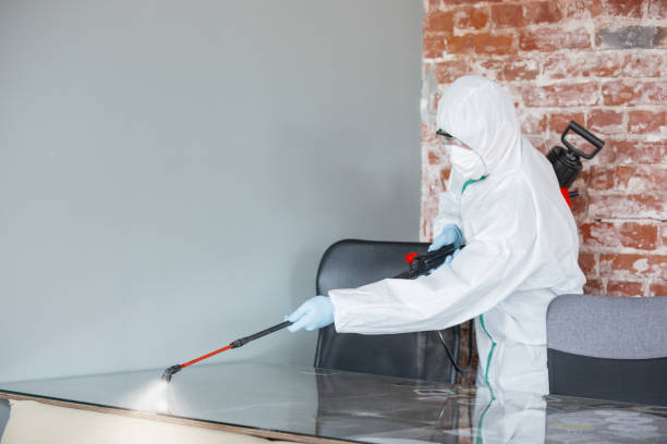 Best Commercial Mold Inspection  in Kasson, MN