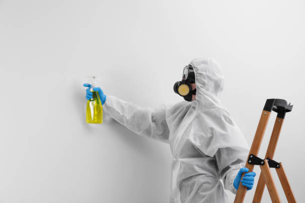 Professional Mold Removal & Remediation in Kasson, MN